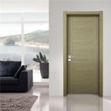 Modern Front Doors And Interio