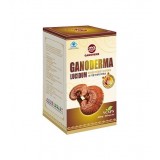 Ganoderma Lucidum Spore And Re