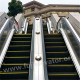 FUJI Outdoor Escalator