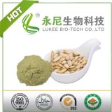 Vegetable Powder Pumpkin Powde