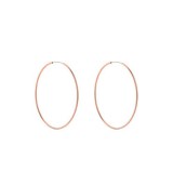 Large Rose Gold Medium Hoop Ea