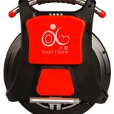 Smart One Wheel Stand Up Scoot