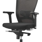 Ergonomic Mesh Executive Chair