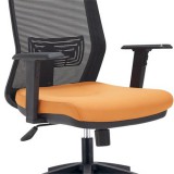 Mesh Back Task Chair For Compu