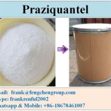 Praziquantel 98.5% 99% USP BP