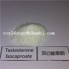 High purityTestosterone Isocaproate for muscle building