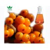 Sea buckthorn seed oil