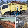 80tph palm oil milling machine, palm oil processing plant