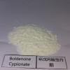 Injectable Boldenone Cypionate Steroid Powder for Sale