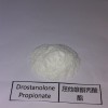 Anabolic muscle growth steroid powder Nandrolone Propionate