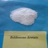 99% Purity Anabolic Steroid Powder Boldenone Acetate