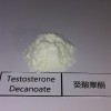 Hupharma Testosterone Decanoate injectable steroids Powder