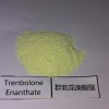 Hupharma Trenbolone Enanthate injectable steroids Powder