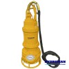 Hydroman™ Electric Submersible Slurry Pump with Agitator