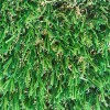 Artificial Grass