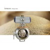 Sanitary Rotary valve