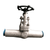 UNS N08020 Globe Valve