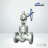 High Pressure Globe Valve