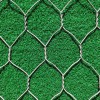 Hexagonal Wire Netting