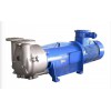 2BV5110 Water Ring Vacuum Pump