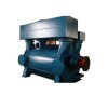 2be4600 Vacuum Pump/Liquid Ring/Pump/Water Ring Vacuum Pump